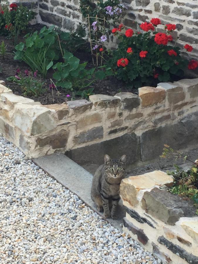 Neuilly-le-Vendin Le Nid Bed & Breakfast エクステリア 写真